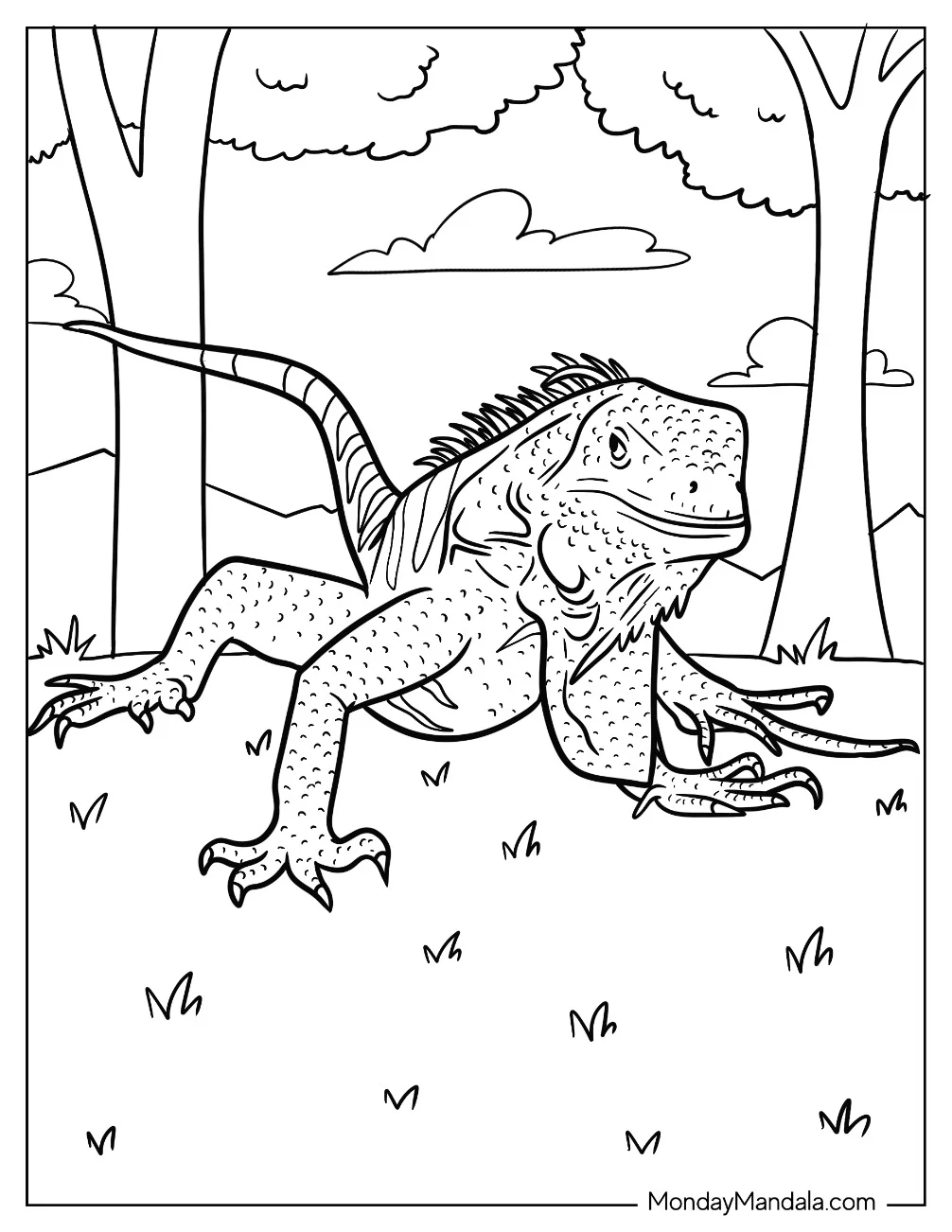 Detailed Iguana Coloring Page On The Grass coloring page — printable line art