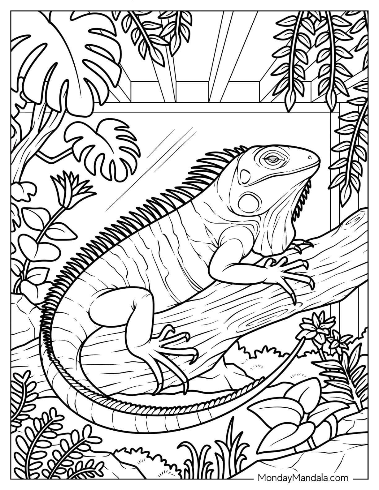 Detailed Iguana Coloring Page Resting on a Branch coloring page — printable line art