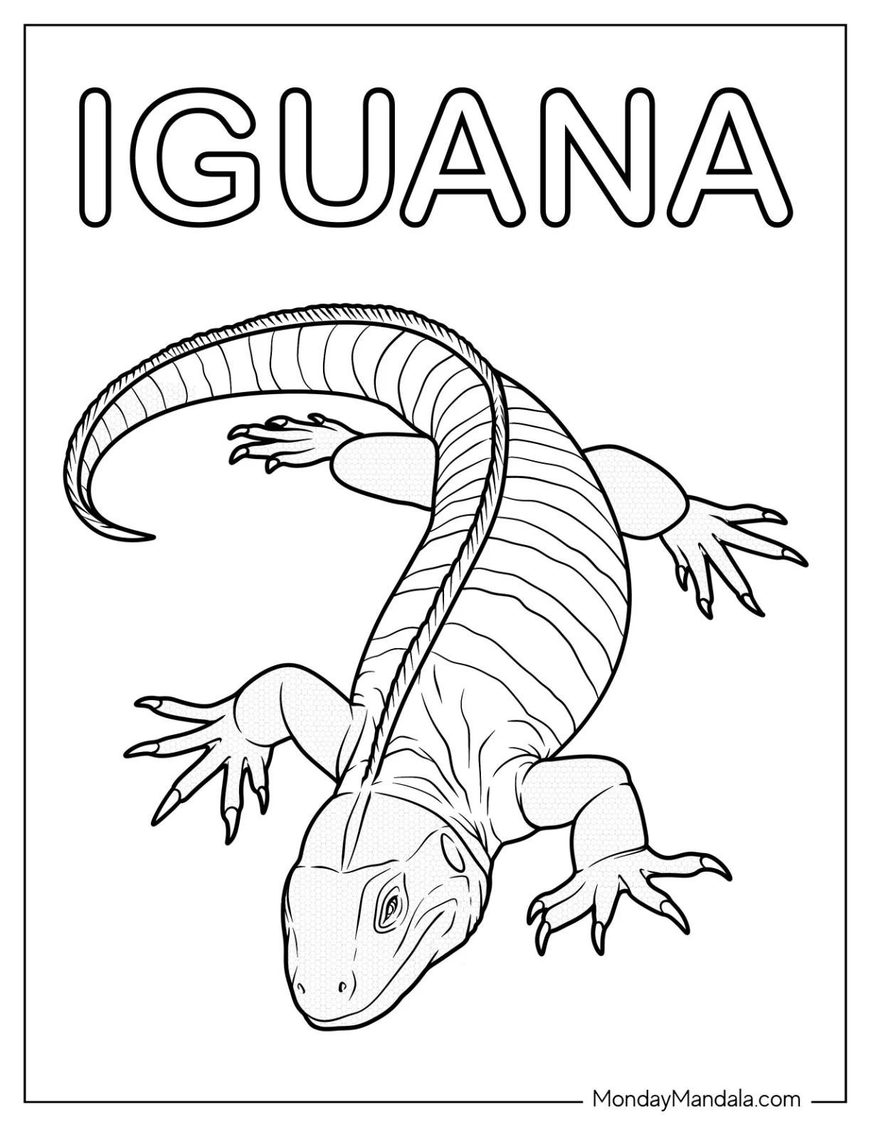 Easy Realistic Iguana Coloring Page coloring page — printable line art