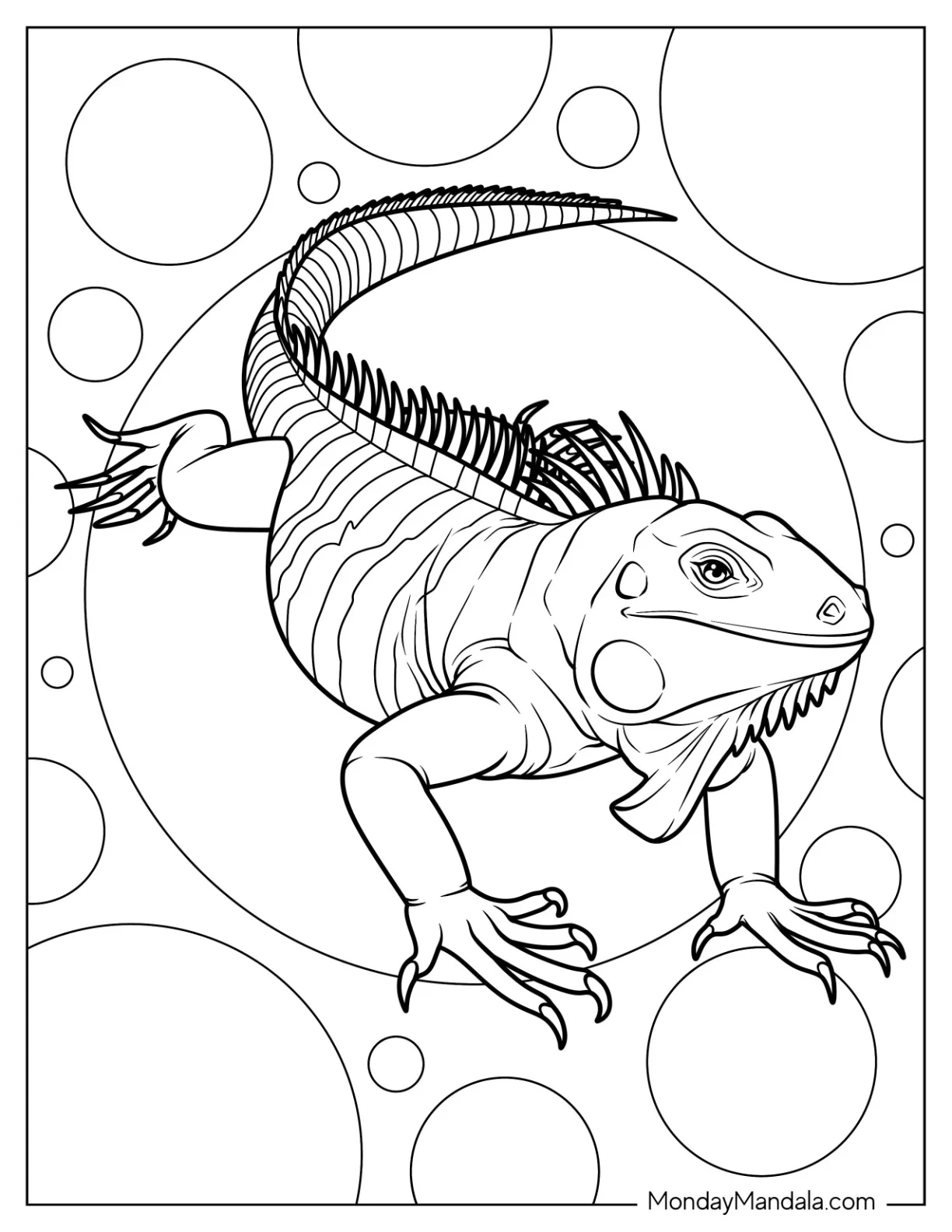 Green Iguana Coloring Page coloring page — printable line art