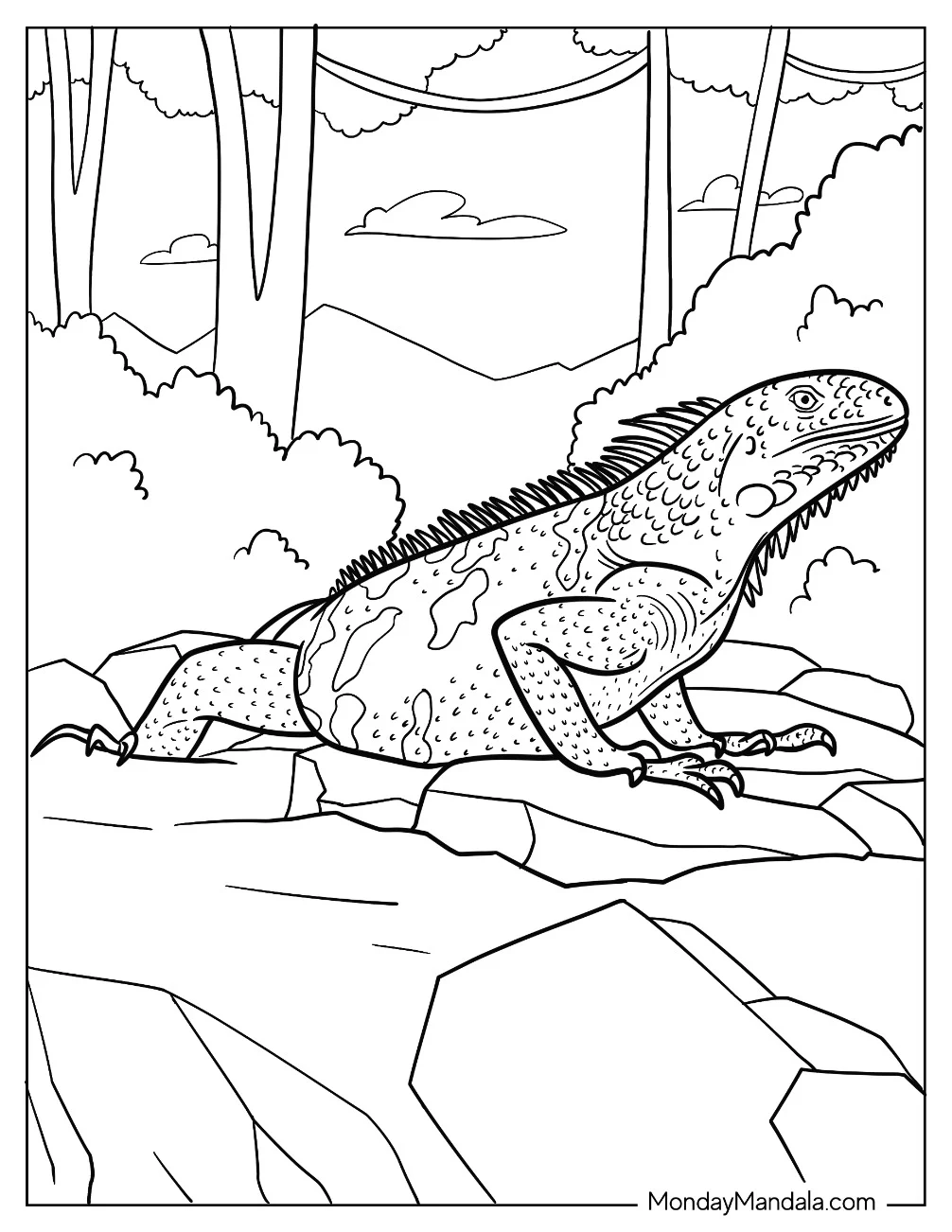 Iguana Coloring Page Crawling Over Rocks coloring page