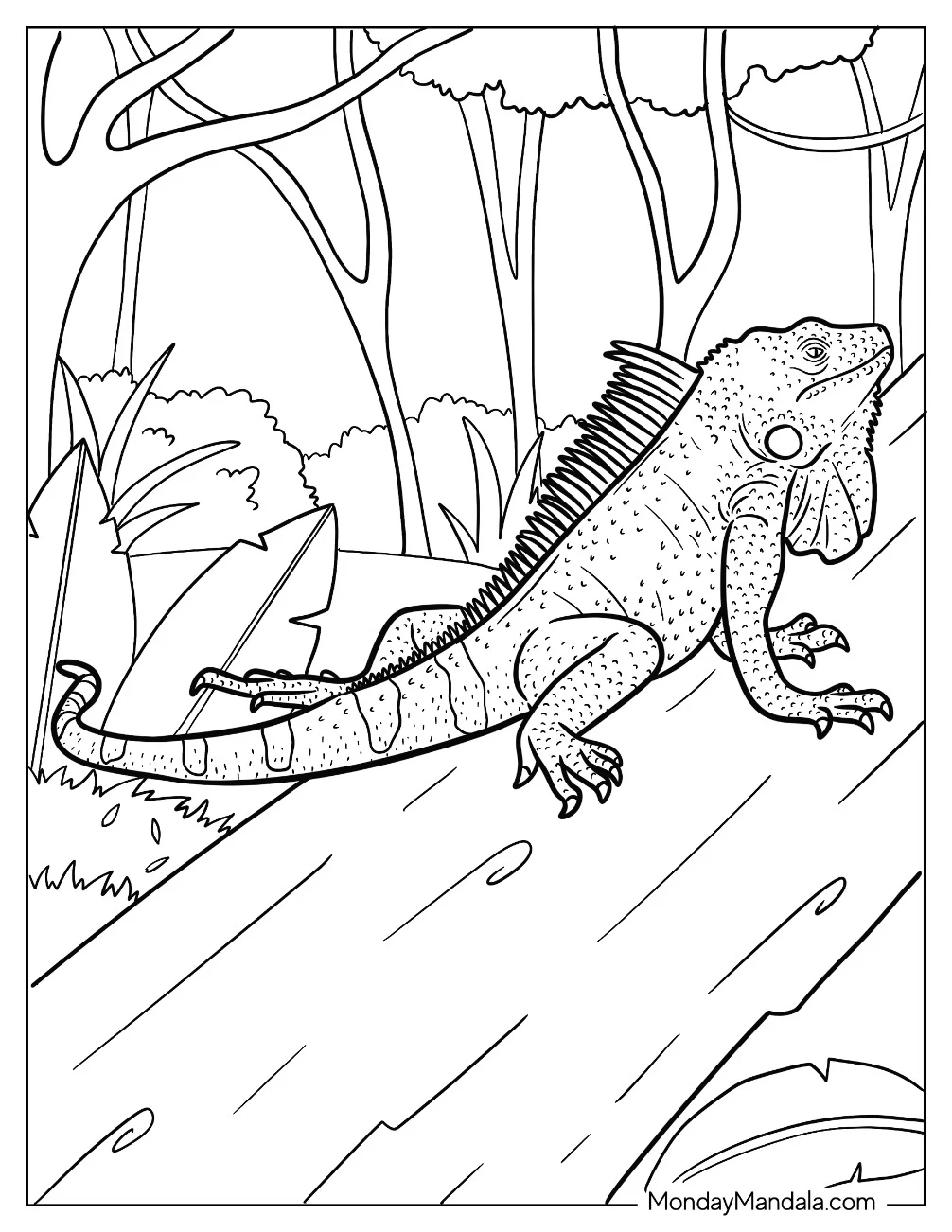 Large Realistic Iguana Coloring Page Climbing Tree coloring page