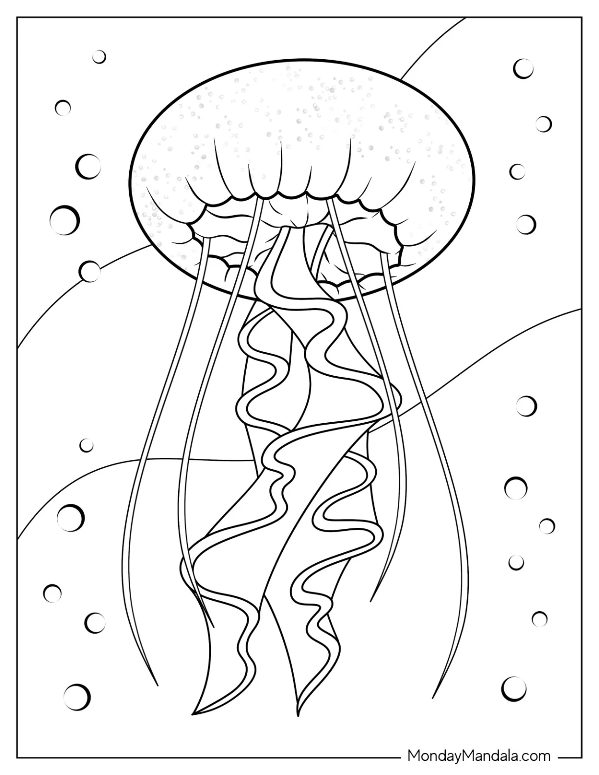 Bottom View Of Sea Nettle Jellyfish Coloring Page coloring page — printable line art