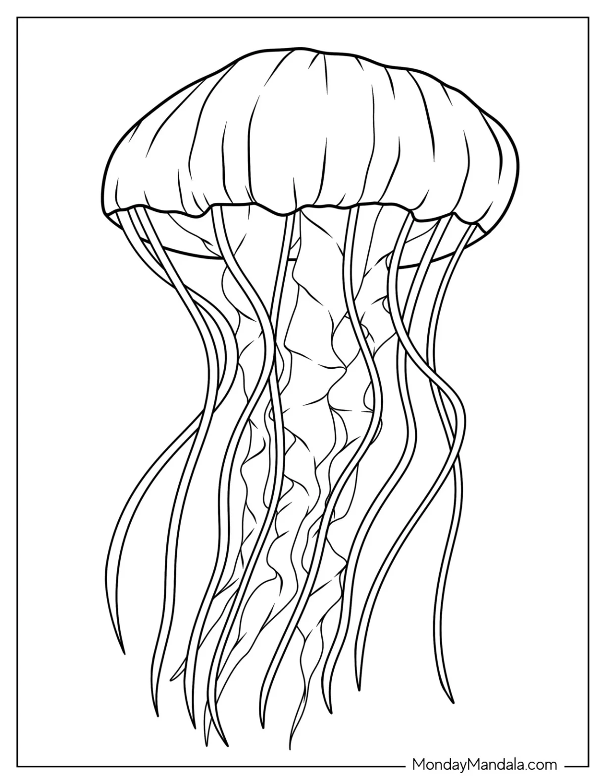 Detailed Lion s Mane Jellyfish Coloring Page coloring page