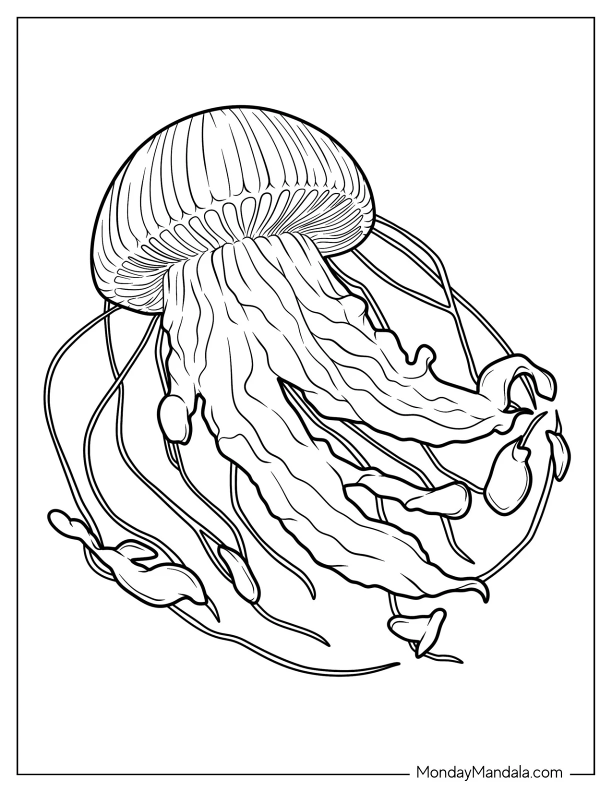 Detailed Sea Snake Jellyfish Coloring Page coloring page — printable line art