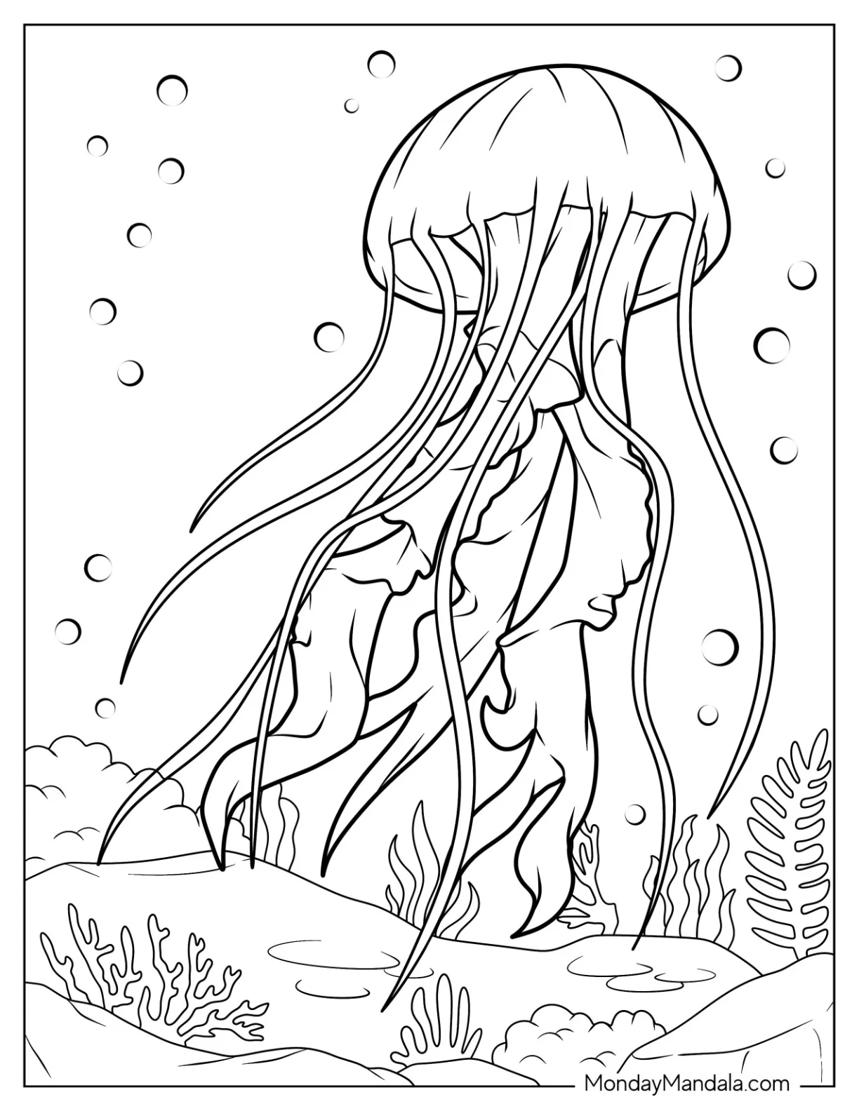 Pacific Sea Nettle Jellyfish Coloring Page coloring page — printable line art