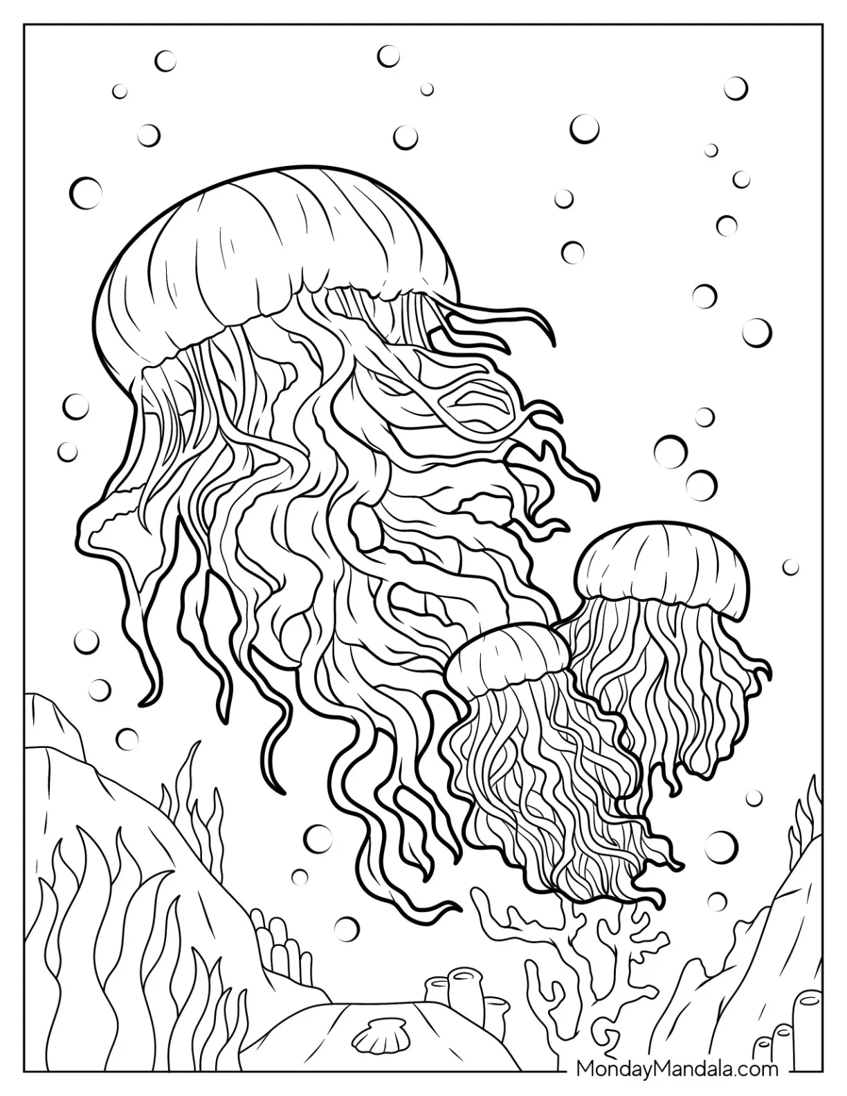 Three Lion s Mane Jellyfish Coloring Page coloring page