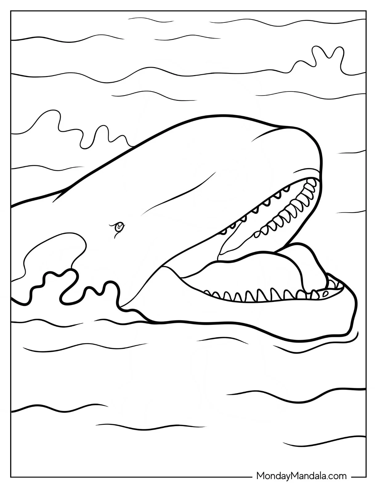 Close Up Of Realistic Smiling Orca Coloring Page coloring page