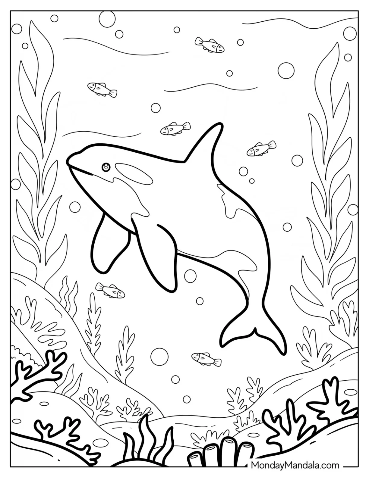 Killer Whale Exploring an Ocean Habitat Full of Fish Coloring Sheet coloring page