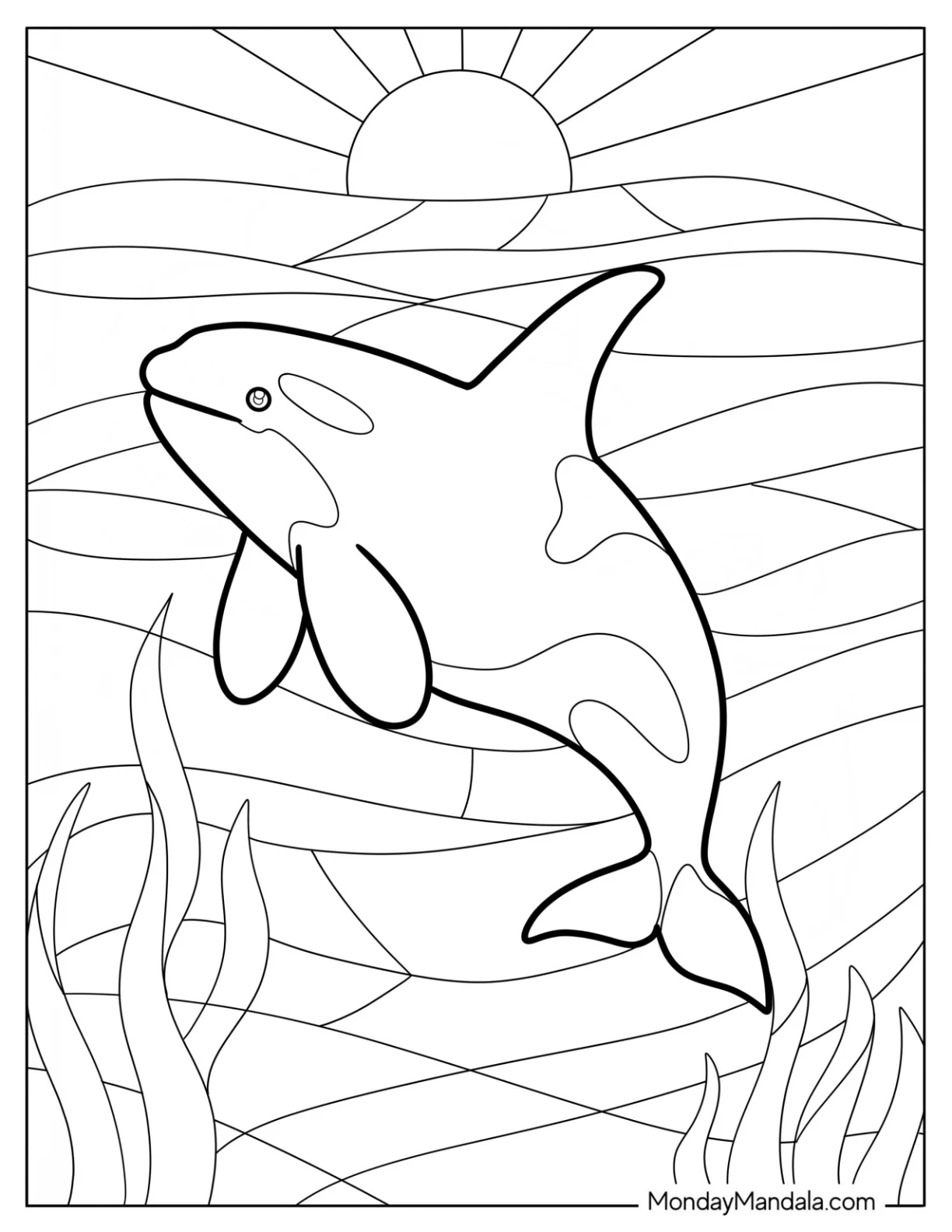 Killer Whale Gliding Through Underwater Seagrass coloring page — printable line art