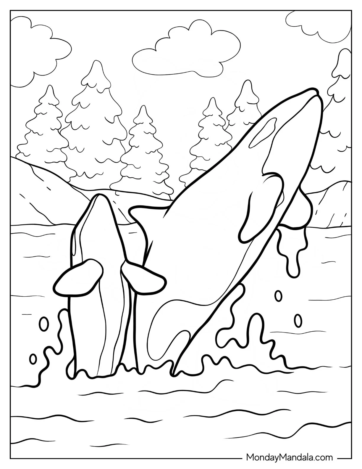 Mother Orca And Baby Orca Coloring Page Breaching coloring page