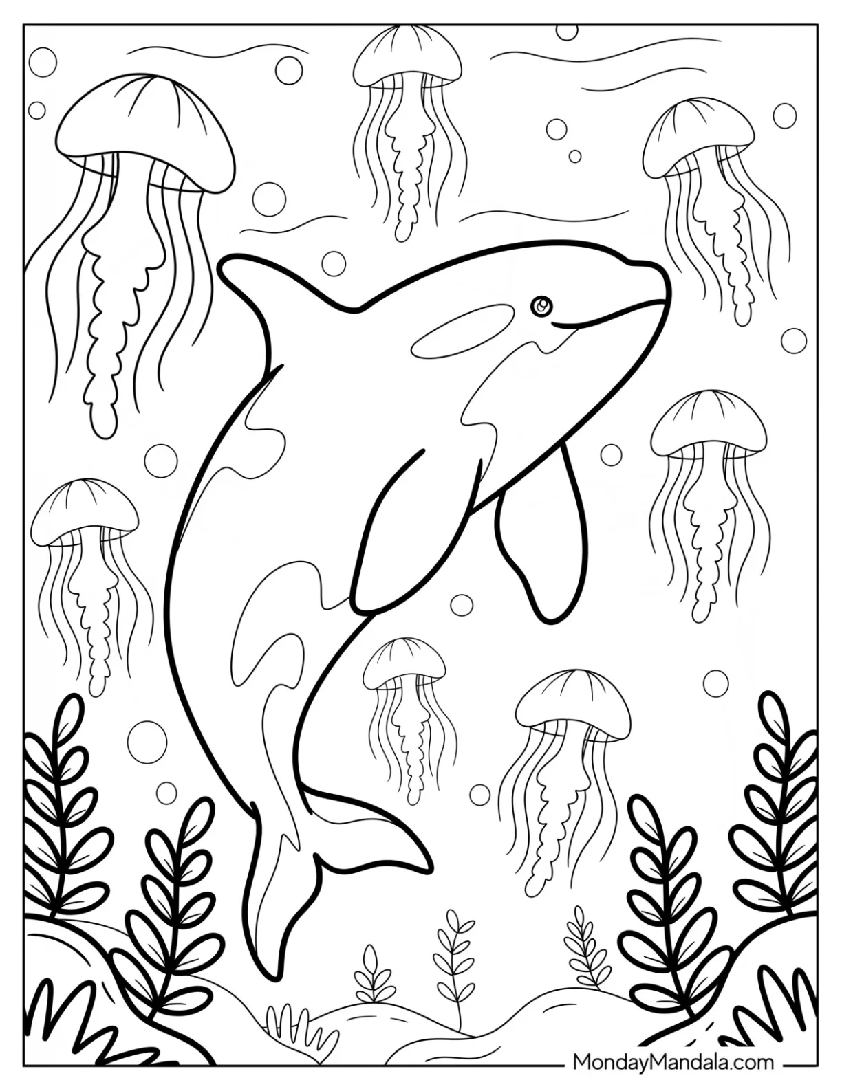Orca Surrounded by Jellyfish and Sea Plants Coloring Sheet for Kids coloring page