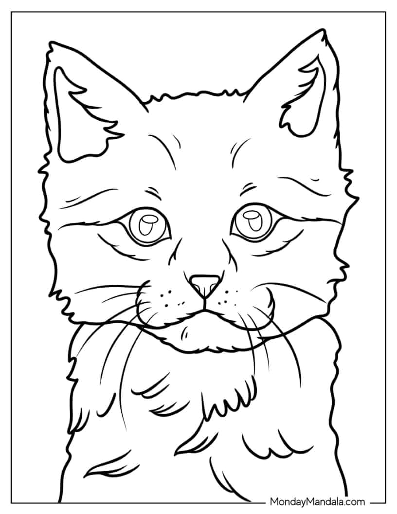 Close Up Of Realistic Kitten Coloring In coloring page — printable line art