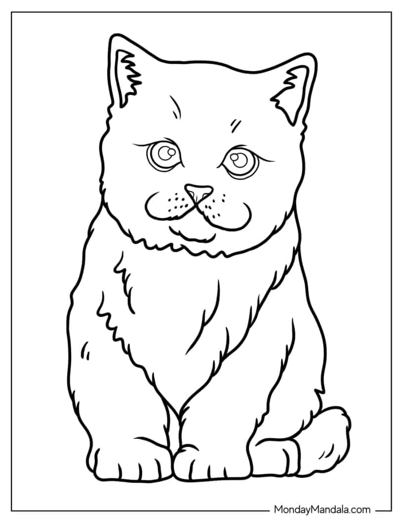Easy Kitten Outline Coloring Page For Kids coloring page — printable line art