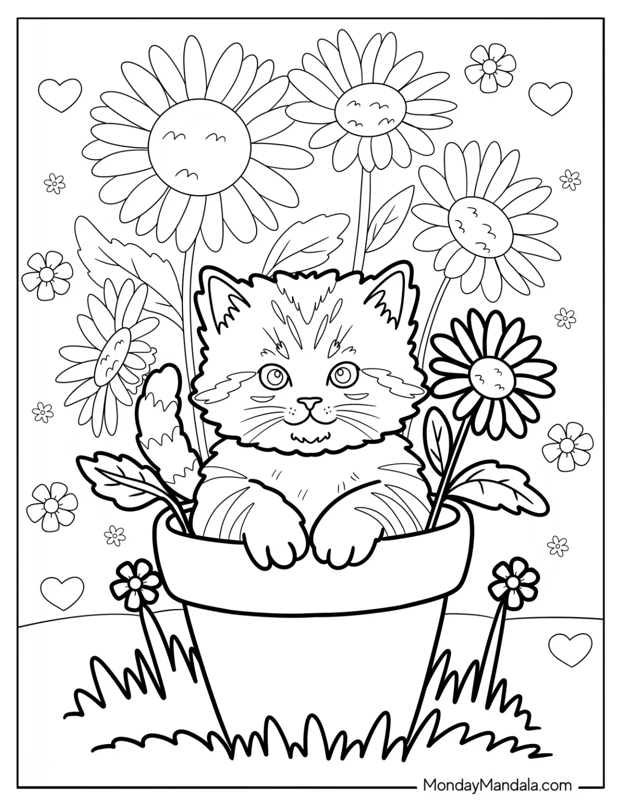 Kitten Coloring Page in a Flower Pot with Sunflowers coloring page