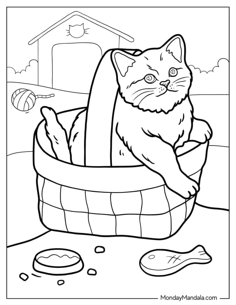 Kitten In A Basket Coloring Sheet coloring page — printable line art