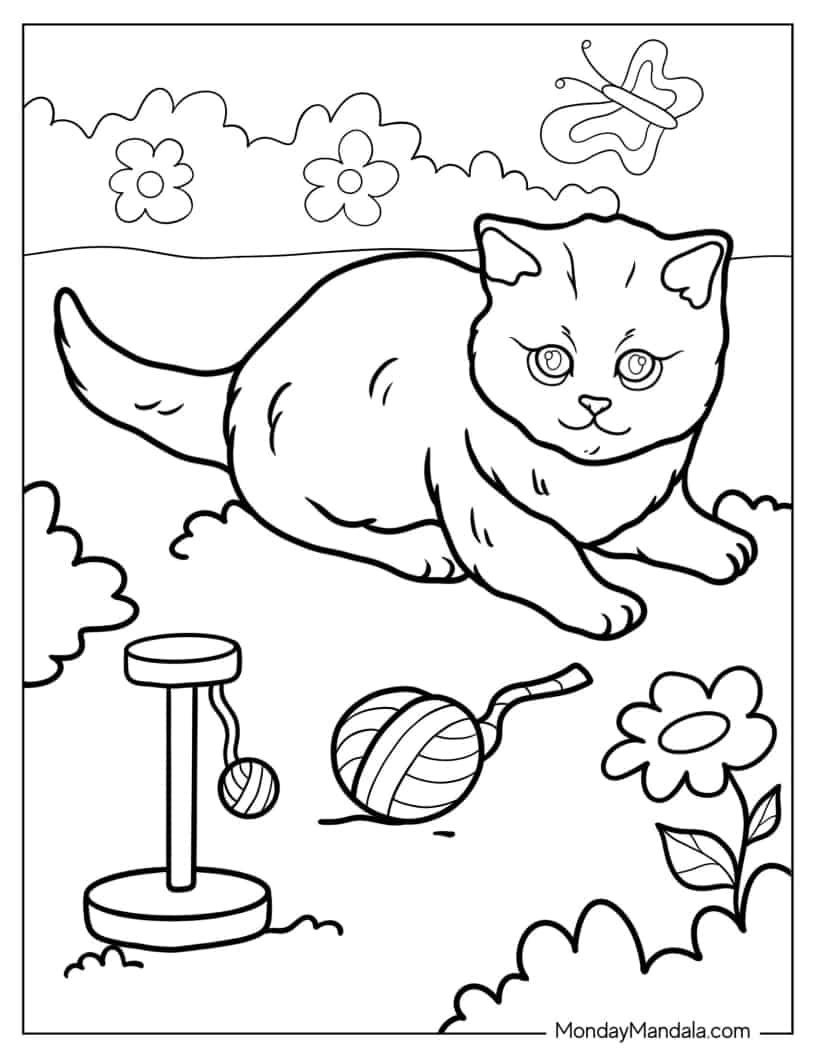 Kitten Laying On The Grass With Toys coloring page