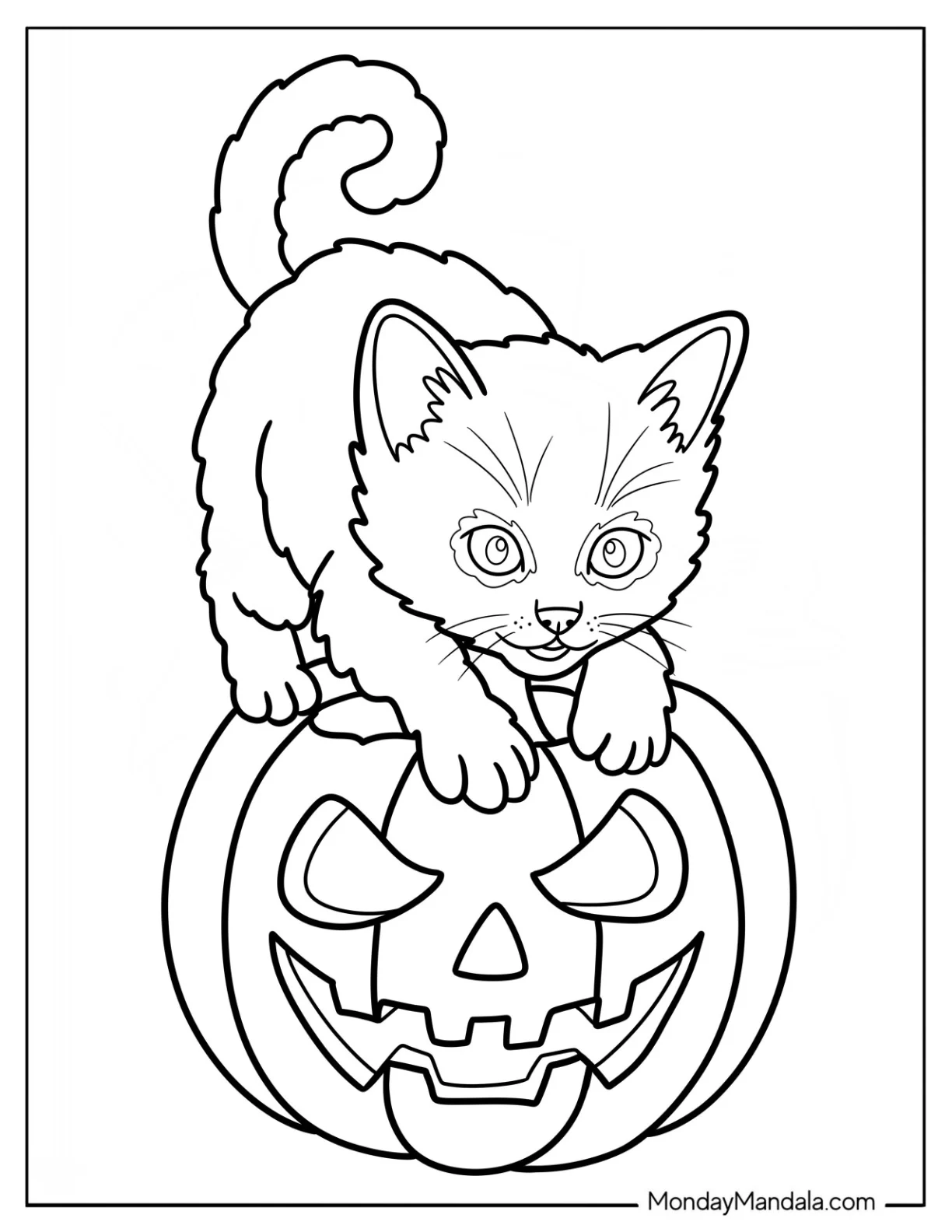 Simple Kitten Coloring Page Climbing on Top of Jack o Lantern for Preschoolers coloring page — printable line art
