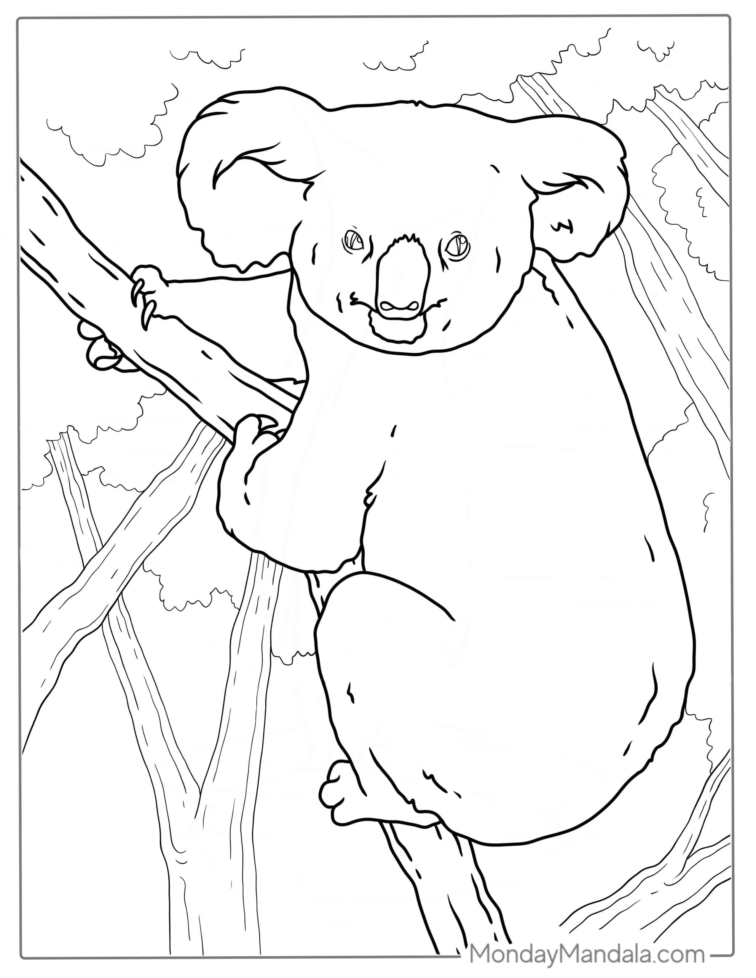 Big Koala Sitting In Tree To Color coloring page