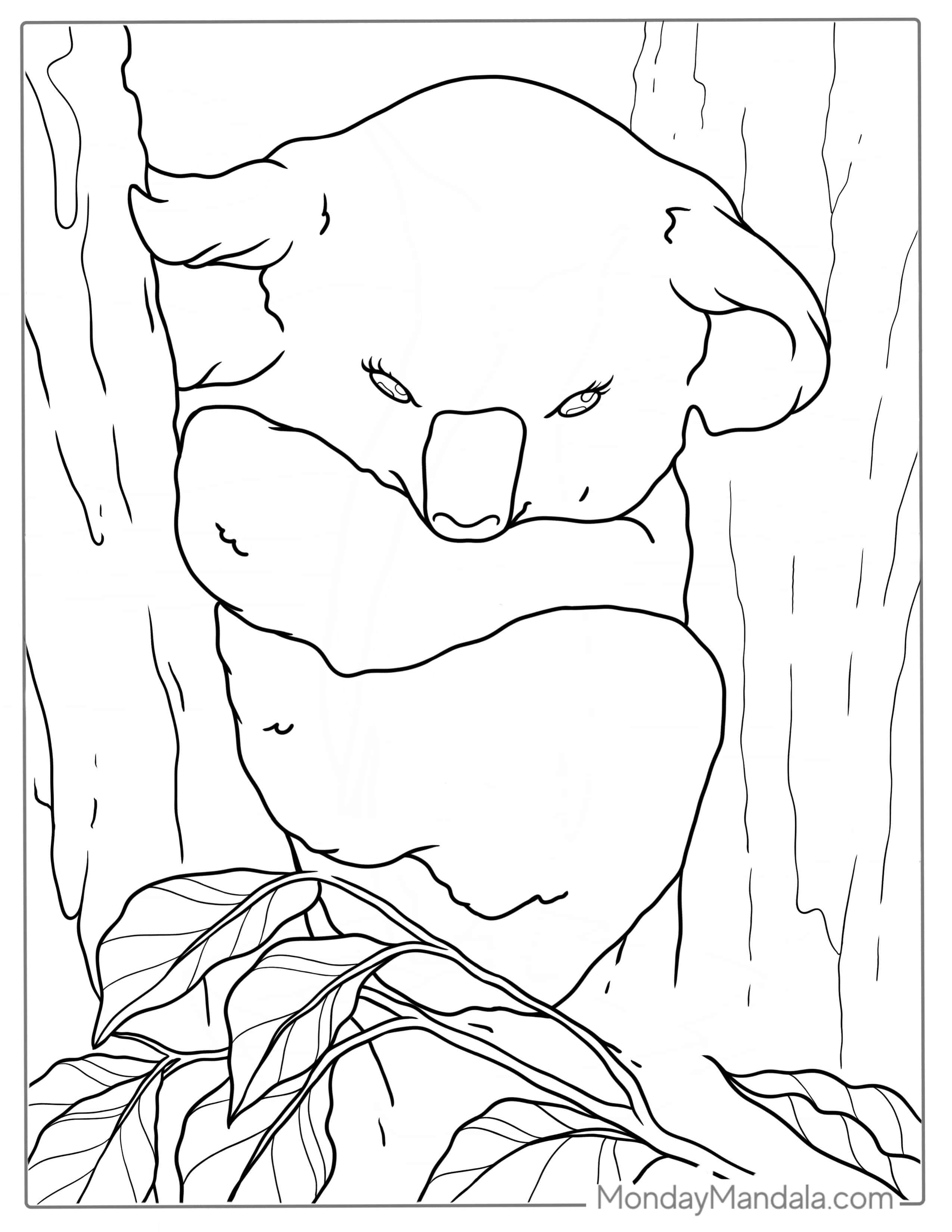 Koala Resting In Gum Tree Coloring Page coloring page