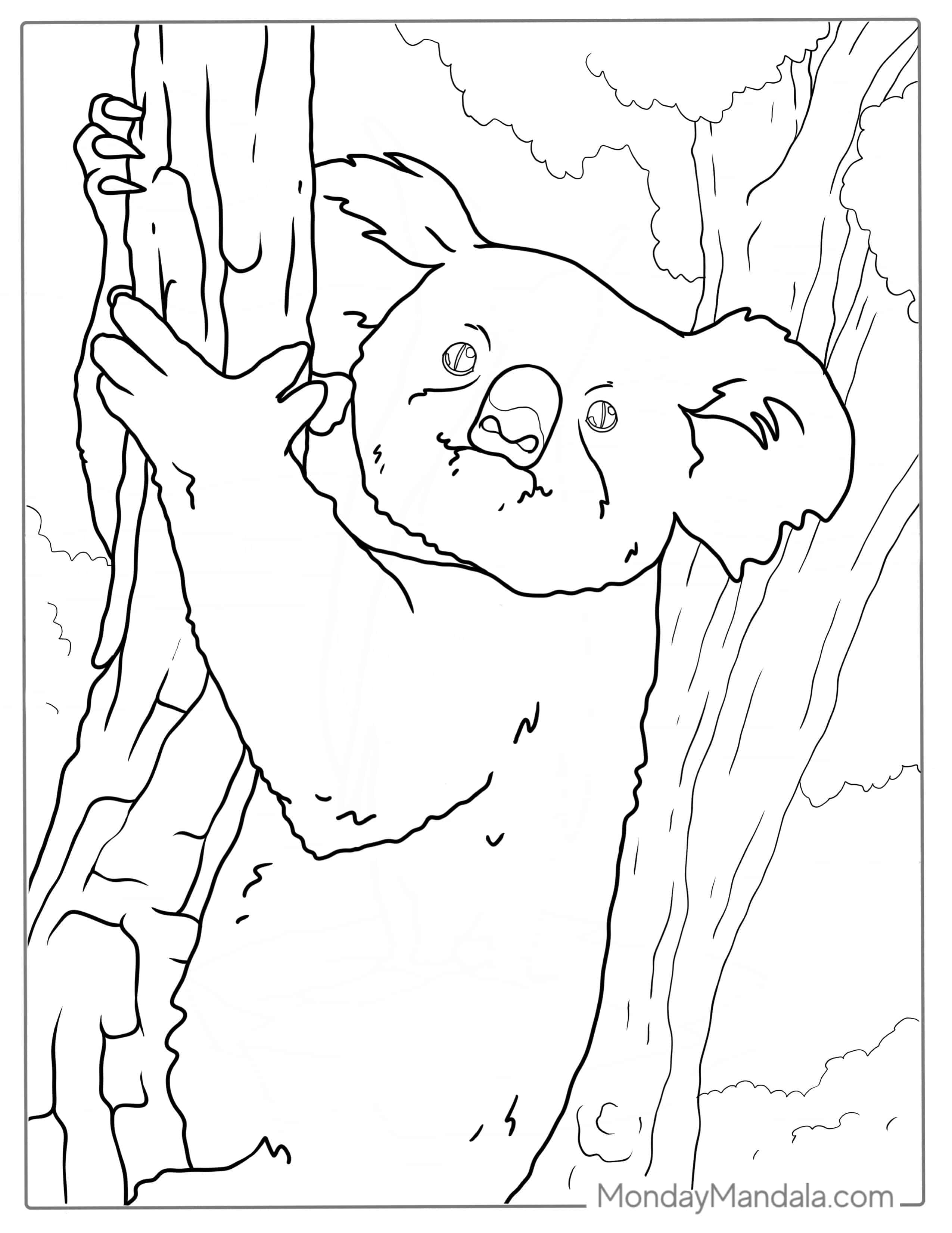 Shaggy Koala Climbing Tree Coloring Page coloring page — printable line art