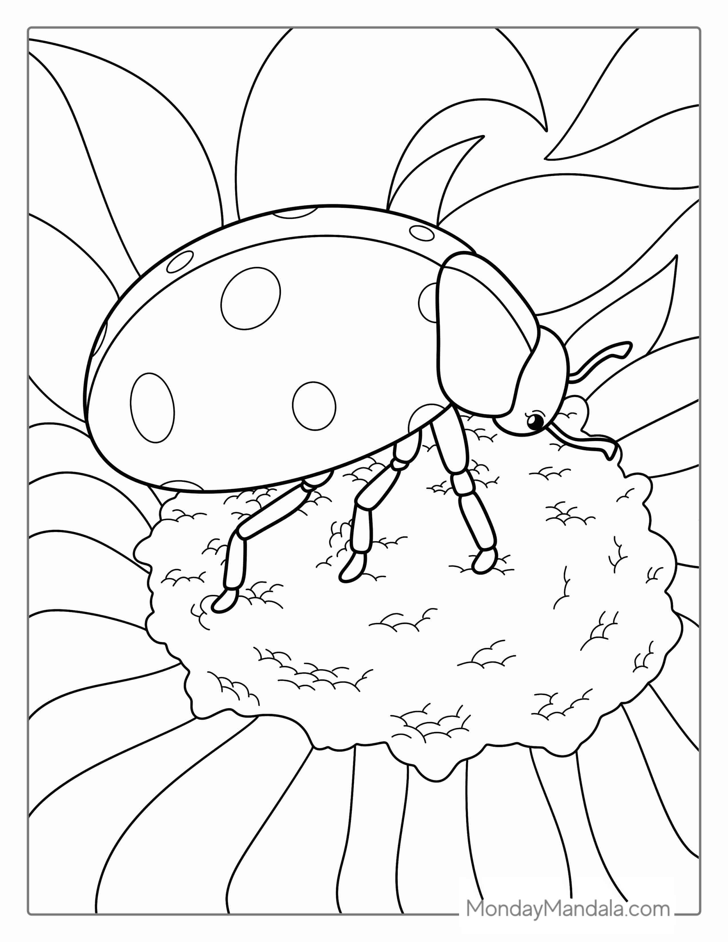 Detailed Ladybug On Daisy Flower Coloring Page coloring page — printable line art