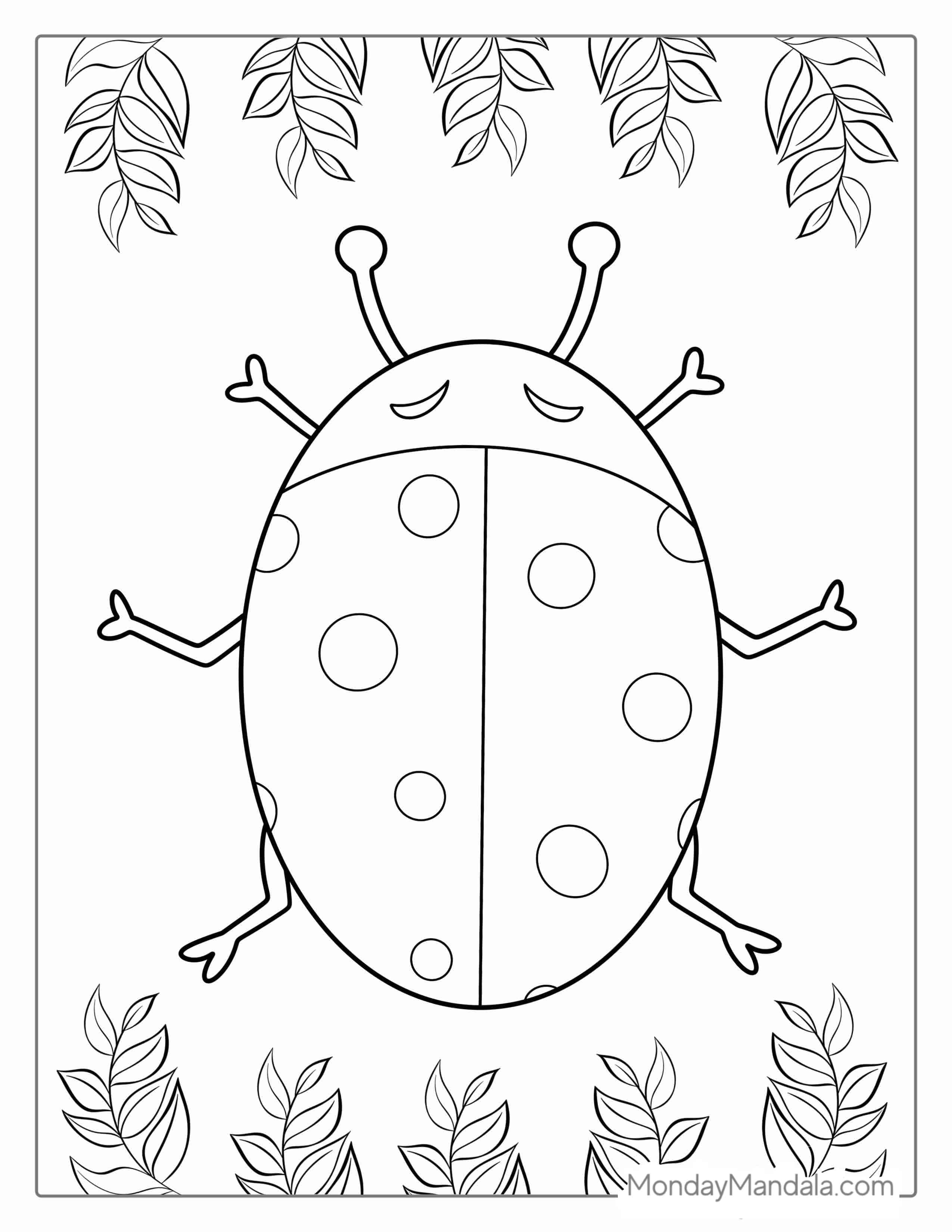 Outline Of a Ladybug Insect To Color coloring page