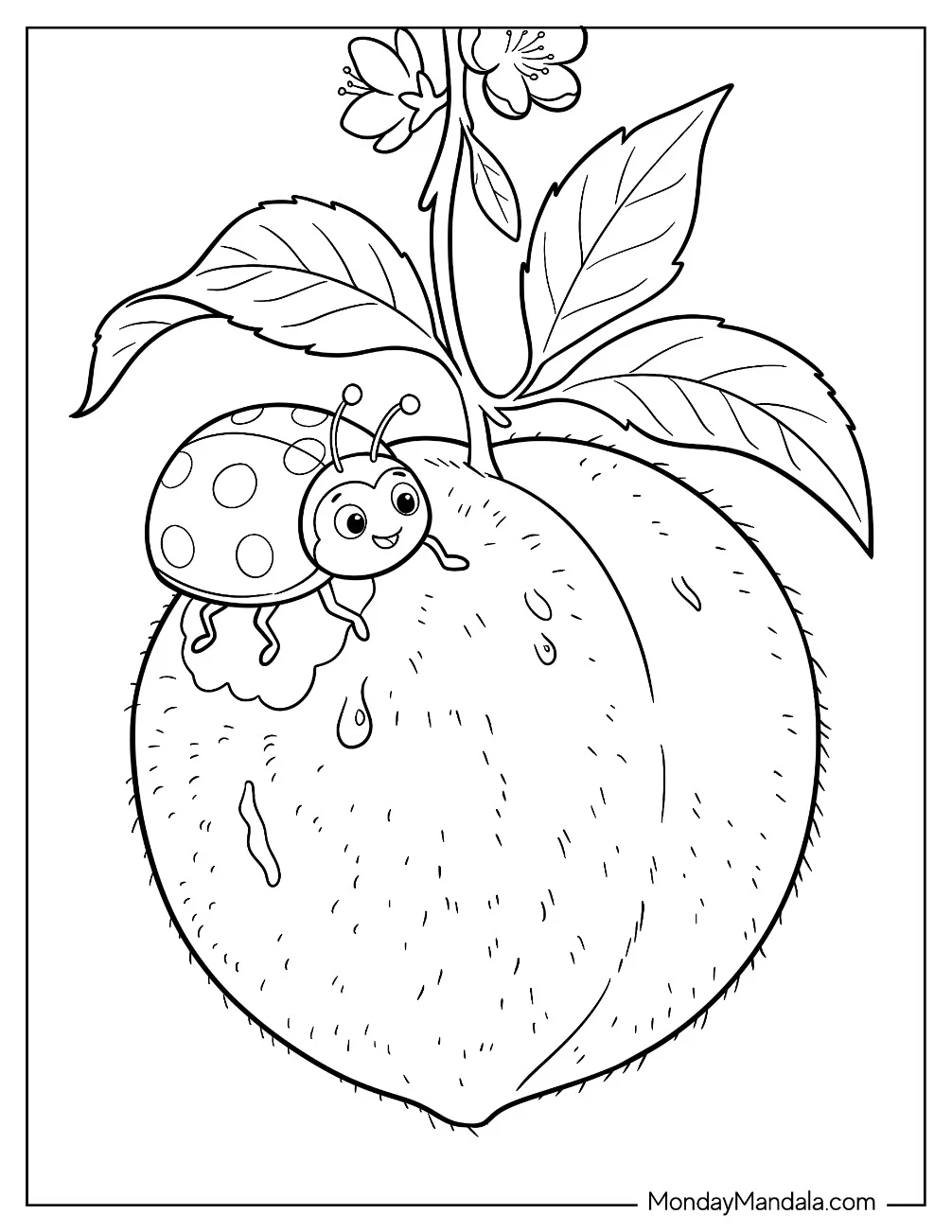 Smiling Ladybug on a Fruit Coloring Sheet for Kids coloring page