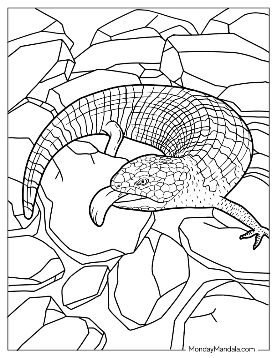 Blue Tongued Skink Lizard Coloring Page Hissing coloring page