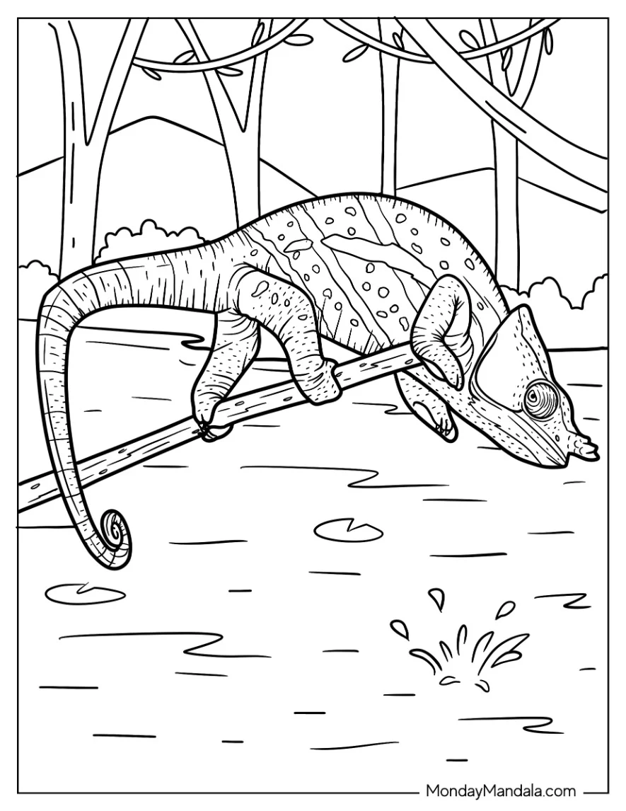 Chameleon Lizard Coloring Page On Edge Of Stick Coloring Sheet coloring page — printable line art
