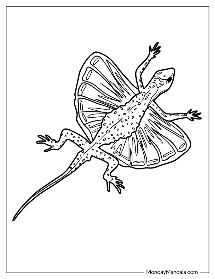 Draco Flyzard  Lizard Coloring Page coloring page