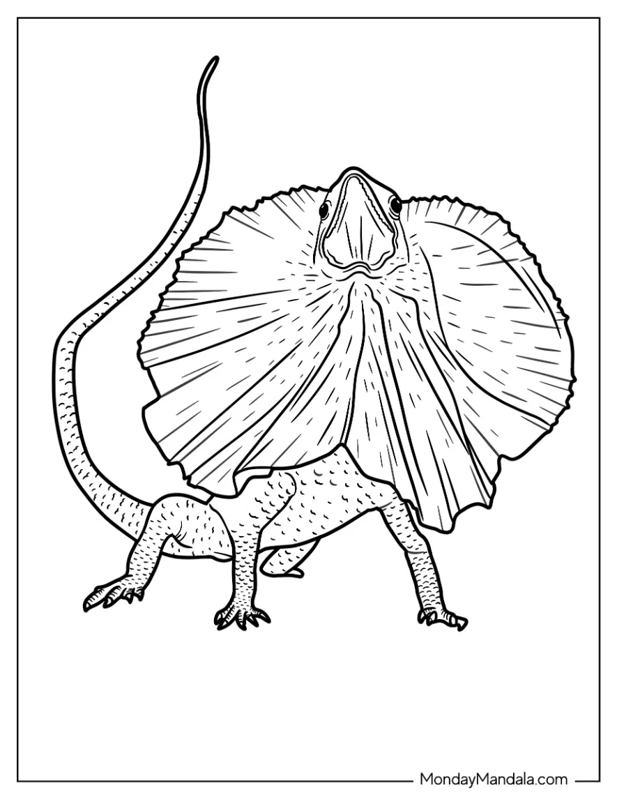 Easy Dragon Lizard Coloring Page coloring page — printable line art