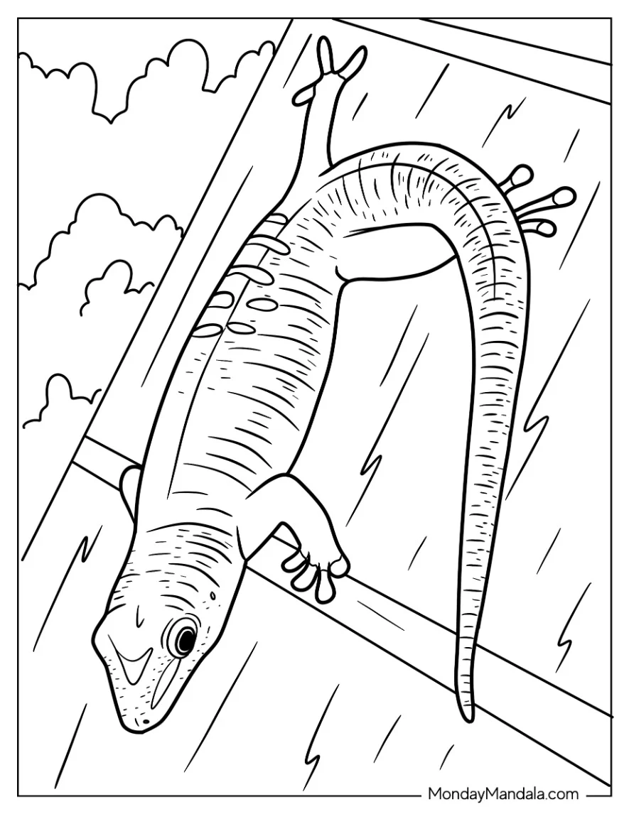 Gecko Lizard Coloring Page On Wood Coloring Page coloring page