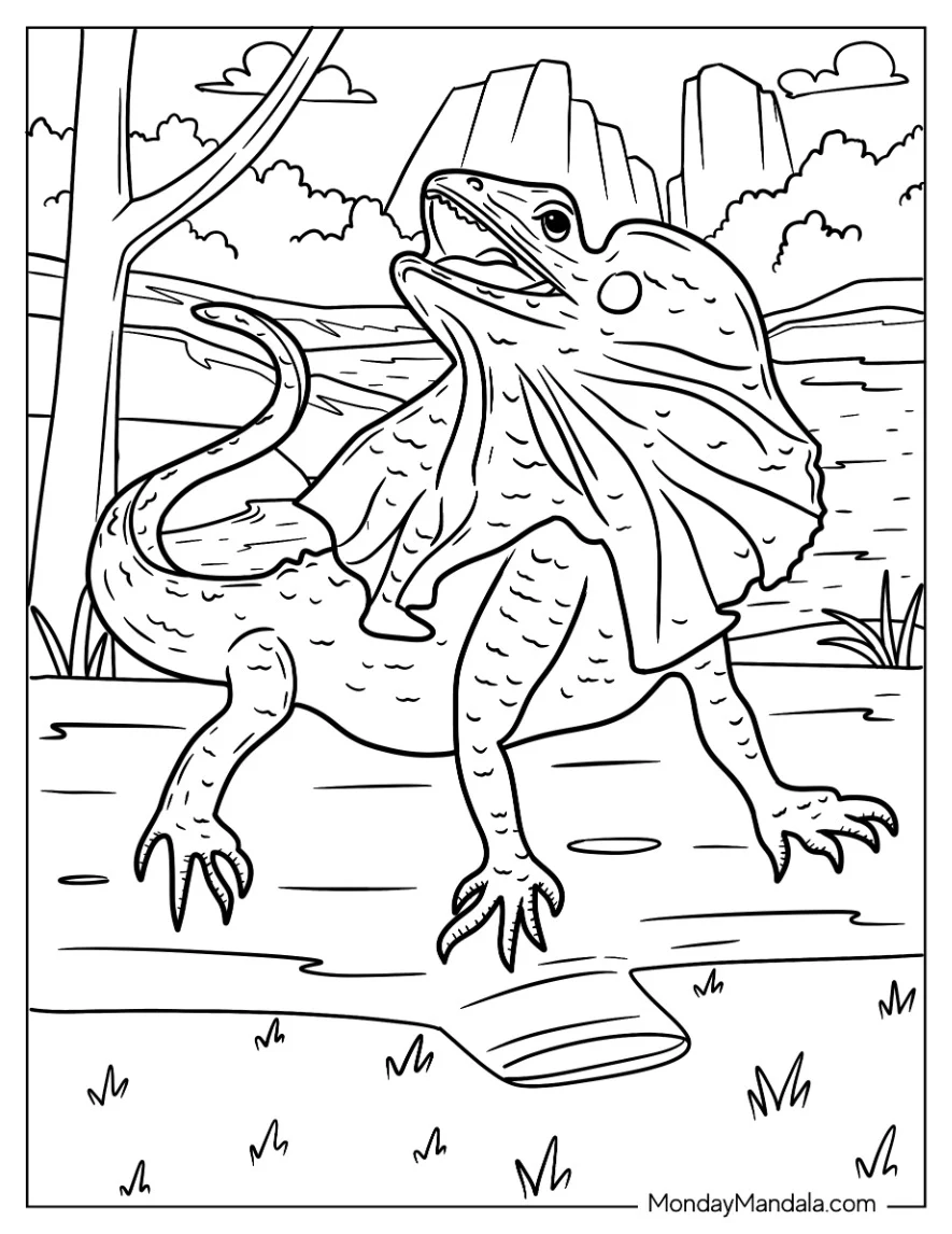 Lizard Coloring Page Looking Up From Ground coloring page