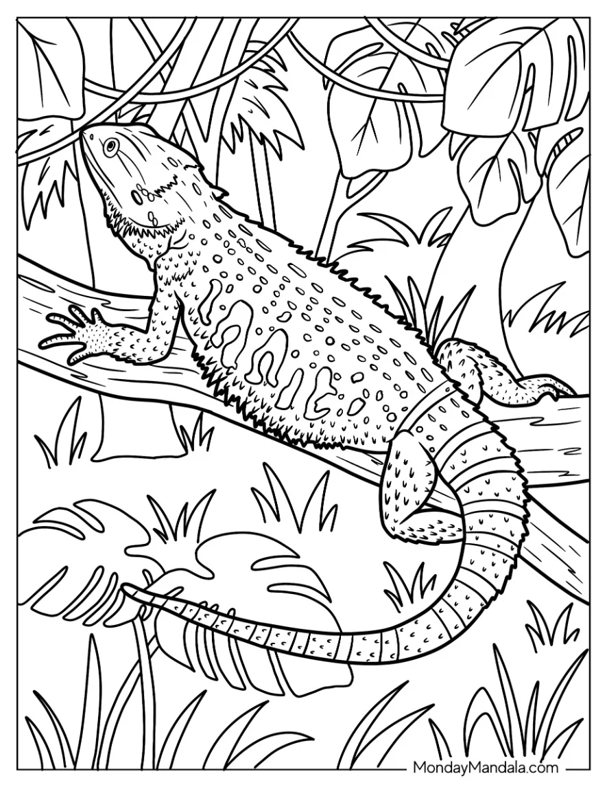 Lizard Coloring Page of Bearded Dragon Lizard In Jungle coloring page — printable line art