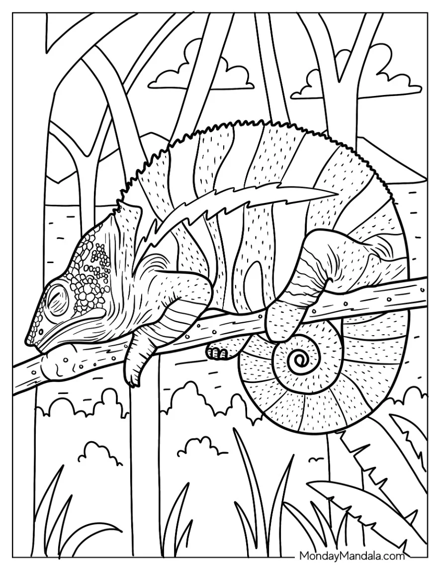Lizard Coloring Page of Chameleon With Curled Tail Sleeping coloring page — printable line art