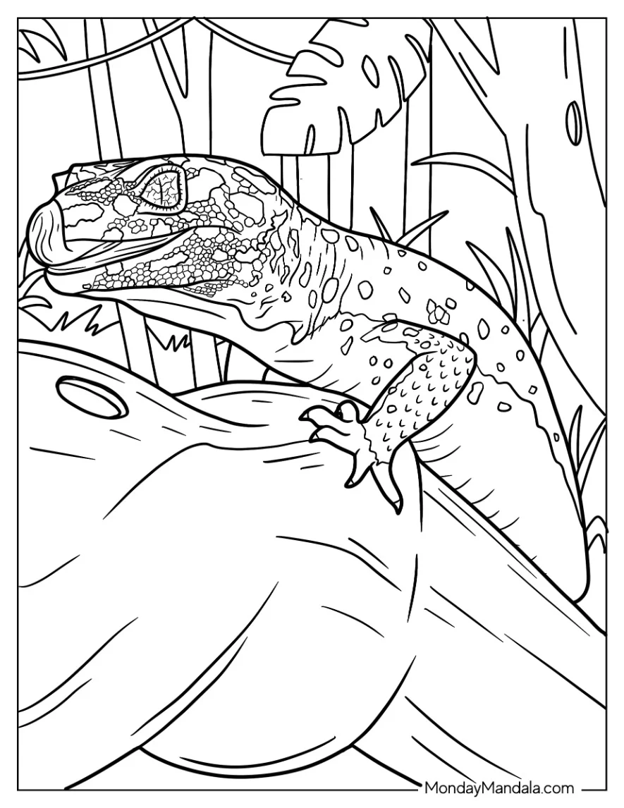 Lizard Coloring Page of Close Up Of Leopard Gecko coloring page