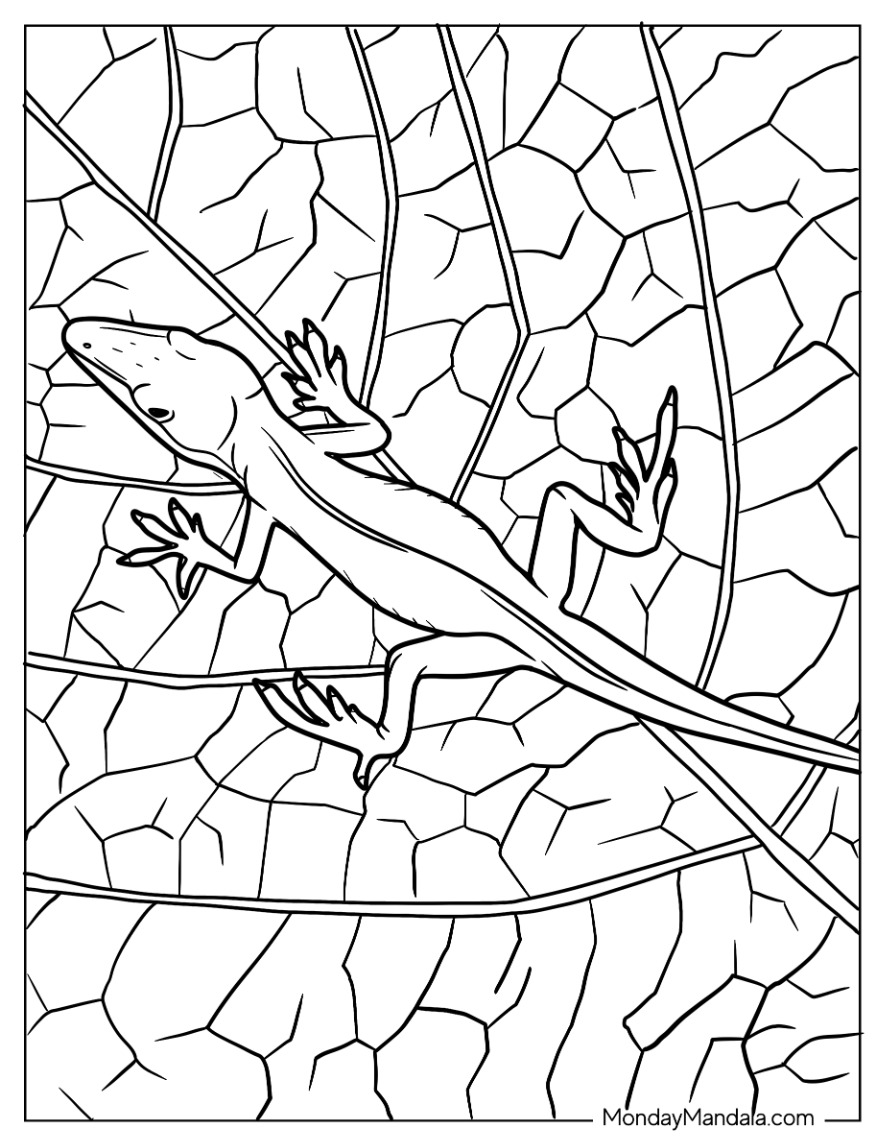 Lizard Coloring Page of Green Anole Lizard Camouflaging With Leaf coloring page — printable line art