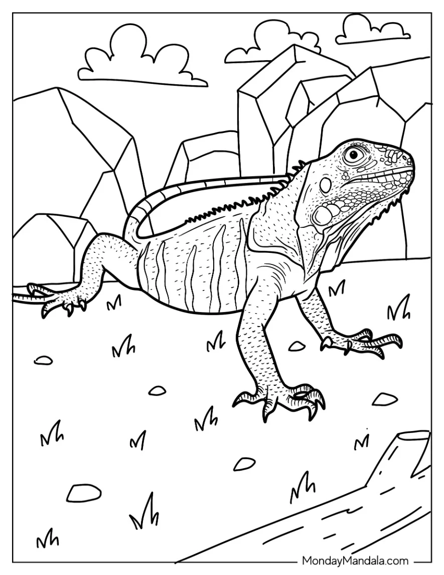 Lizard Coloring Page of Green Iguana On Grass coloring page — printable line art