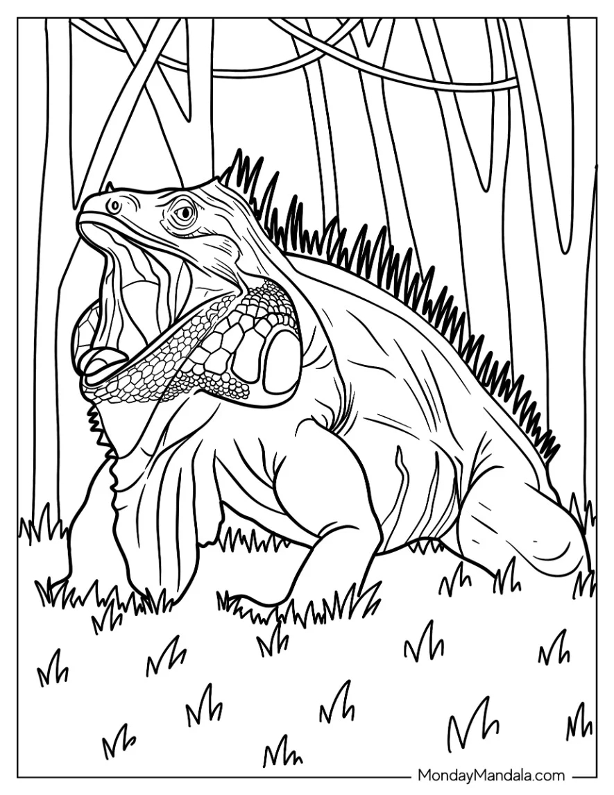 Lizard Coloring Page of Green Iguana With Mouth Open coloring page — printable line art
