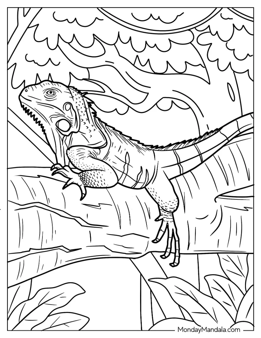 Lizard Coloring Page of Iguana With Head Up On Tree Branch coloring page — printable line art