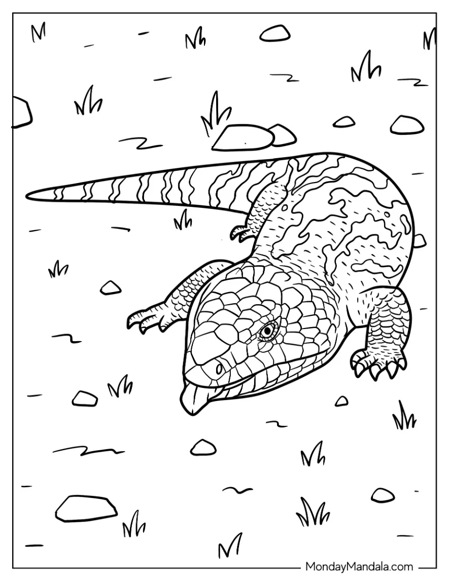 Lizard Coloring Page of Scaly Blue Tongued Skink On Ground coloring page
