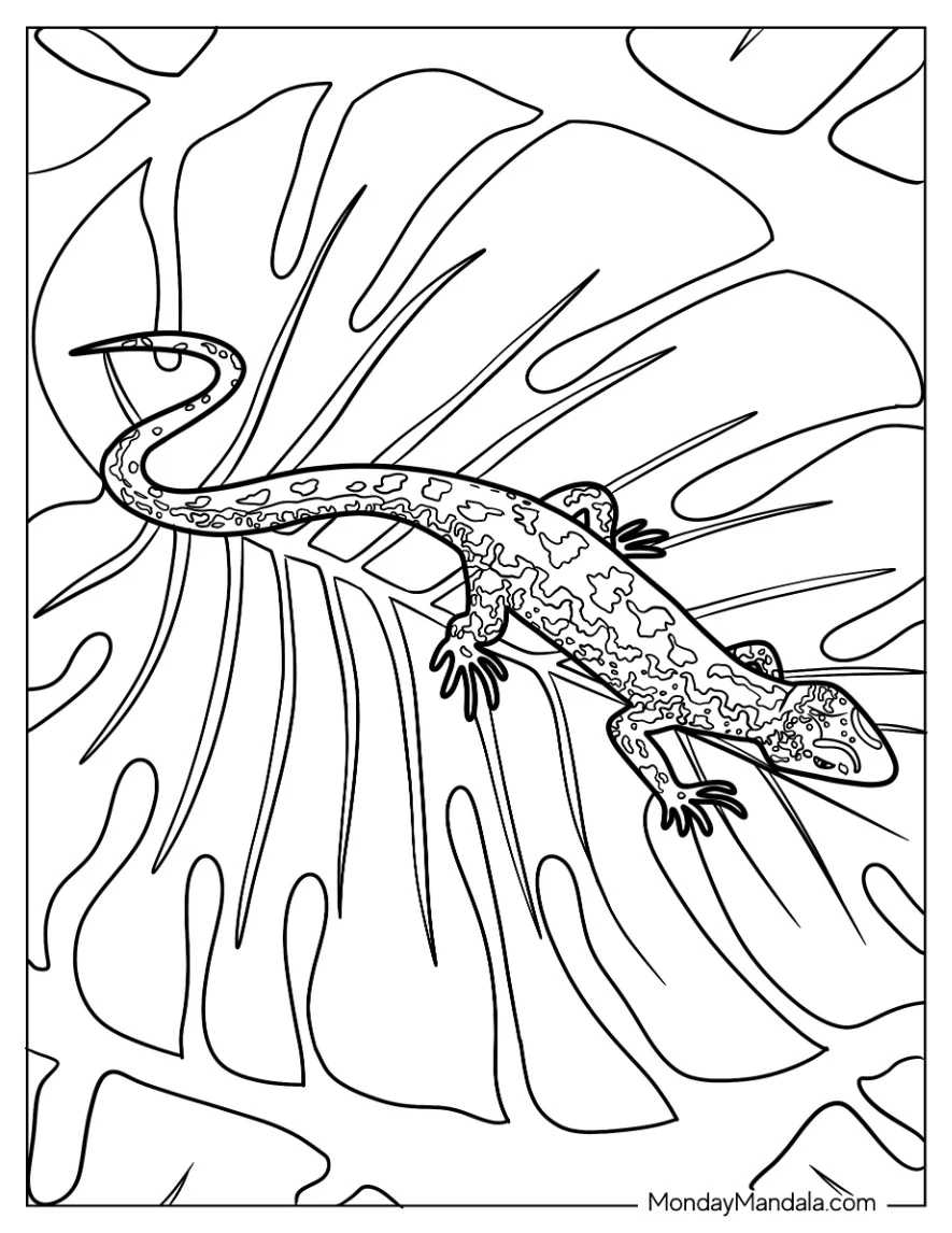 Sand Lizard Coloring Page On Leaf coloring page