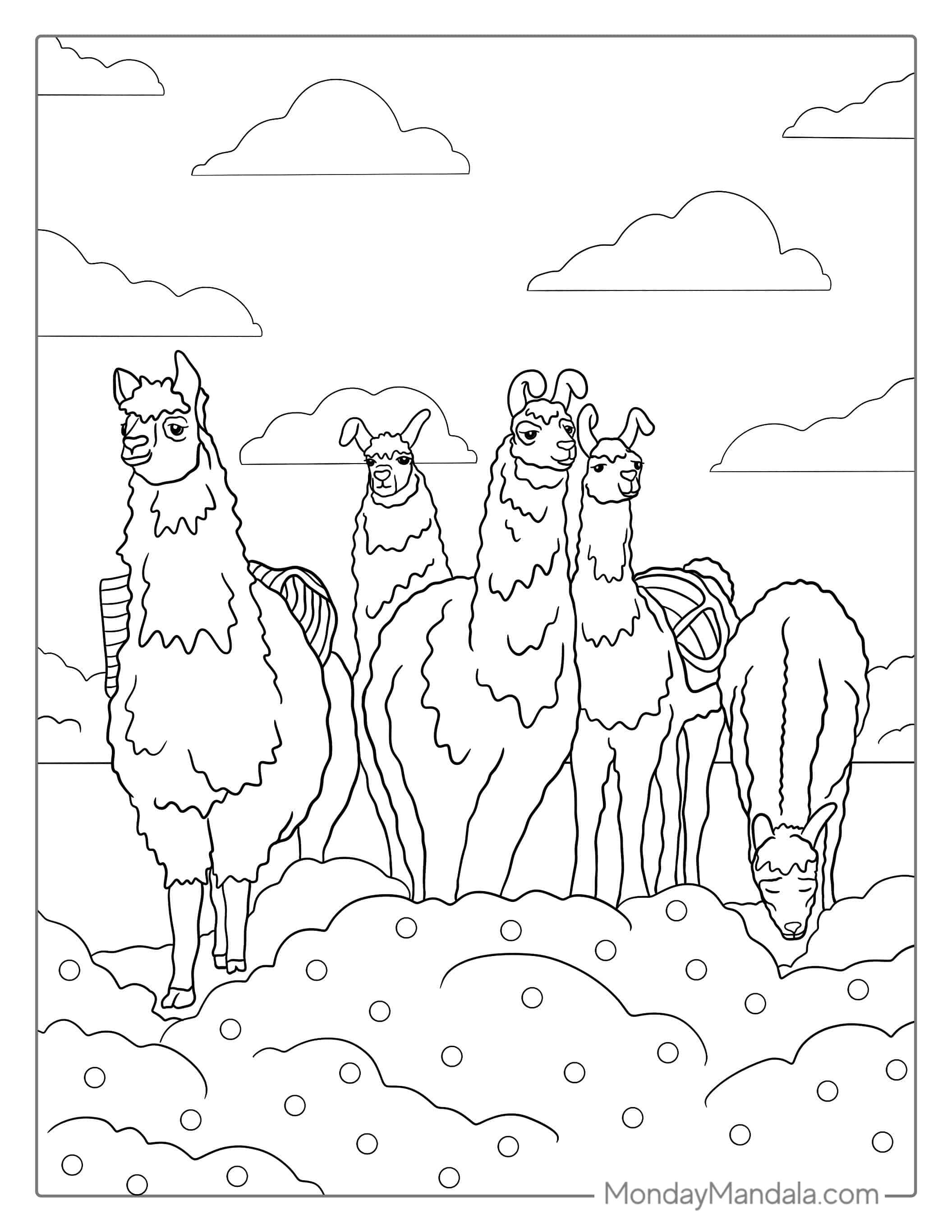 Herd Of Wild Llamas In Field To Color In coloring page