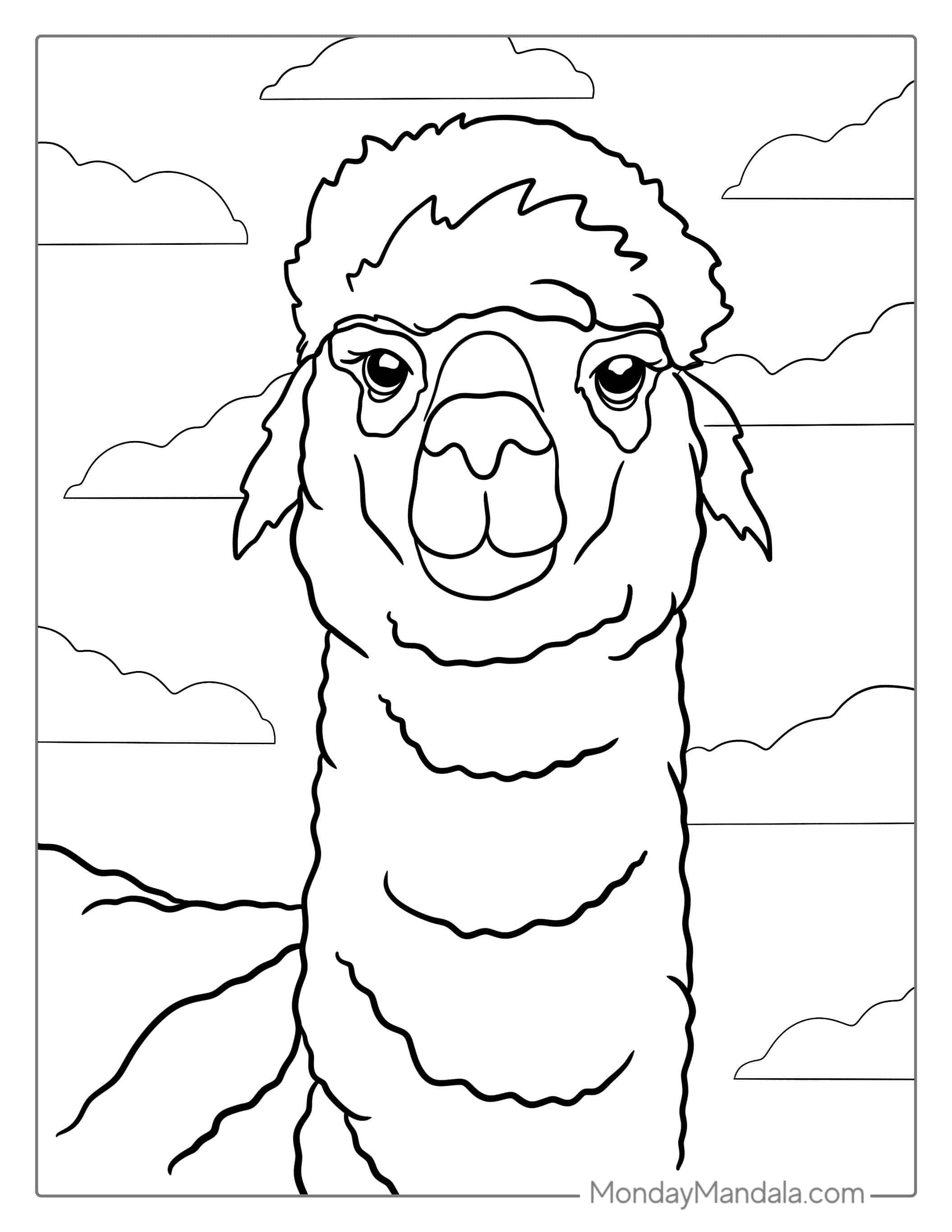 Llama Face Coloring Sheet For Kids coloring page