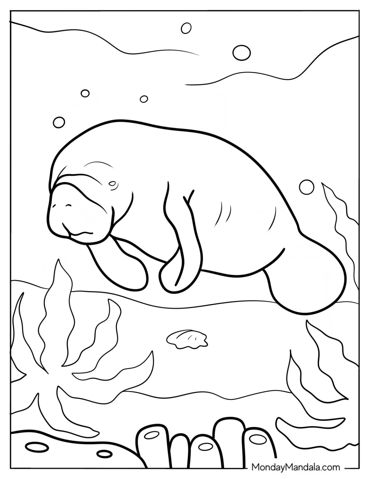 Realistic Adult Manatee Coloring Page coloring page