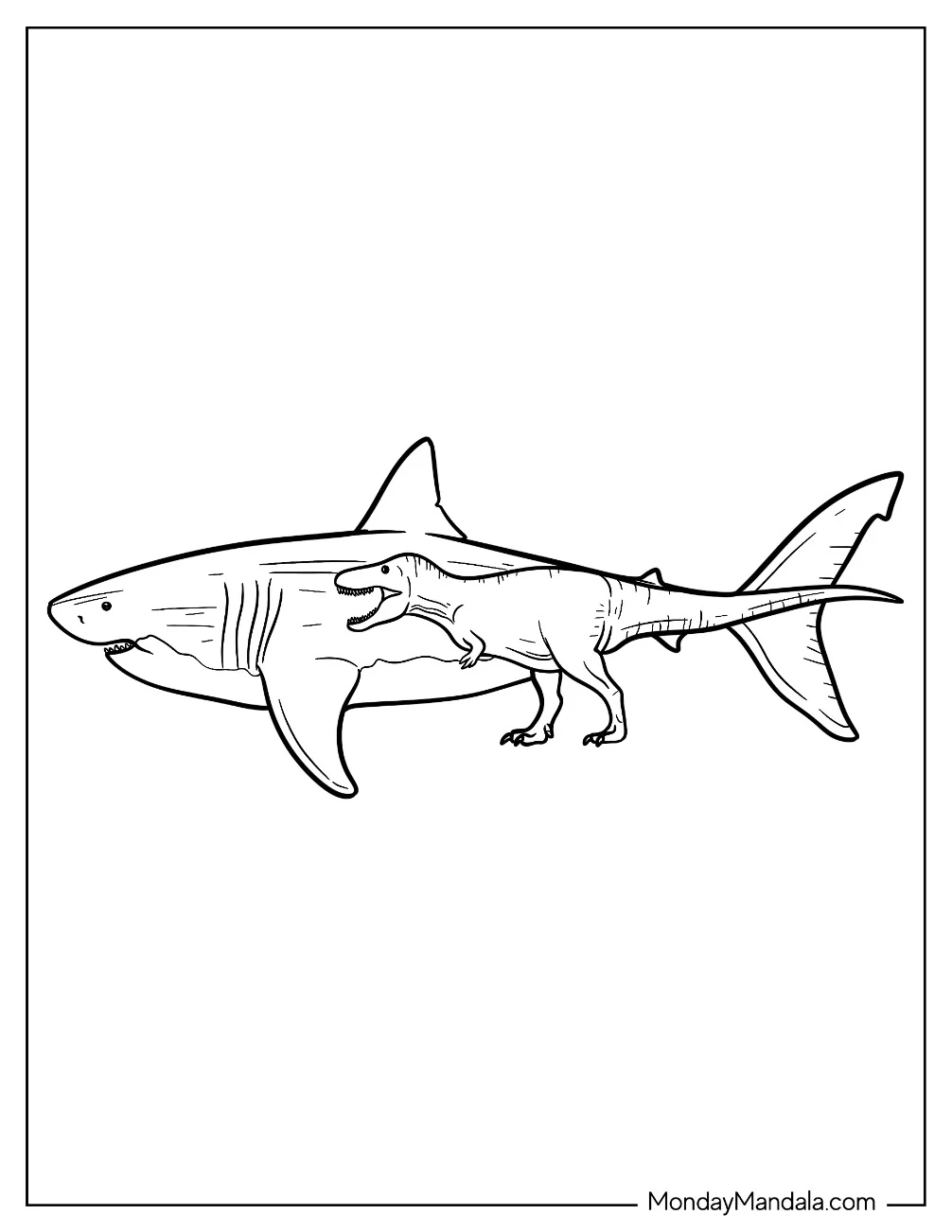 Megalodon Coloring Page And T Rex Size Comparison coloring page