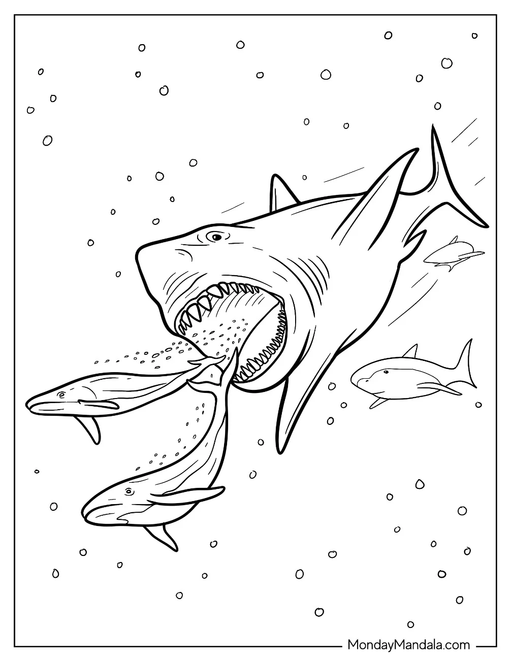 Megalodon Coloring Page Stalking Whales coloring page