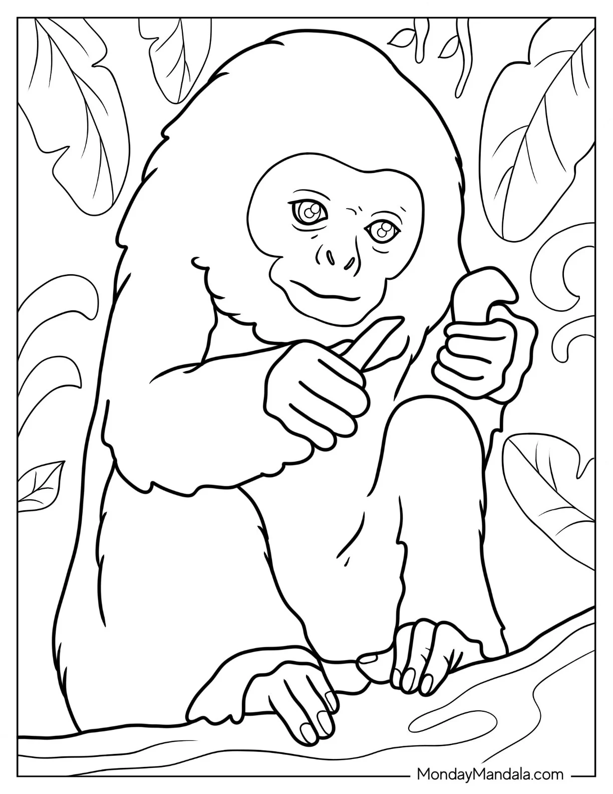 Monkey Coloring Page Of Baby Langur Outline coloring page