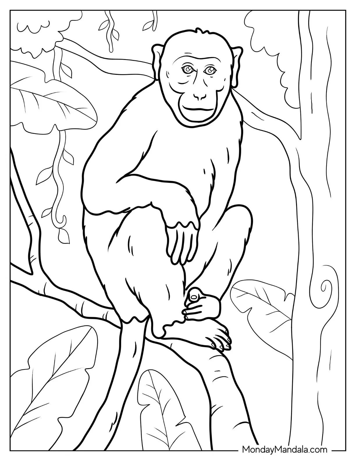 Monkey Coloring Page Of Bonnet Macaque Perched On Branch coloring page